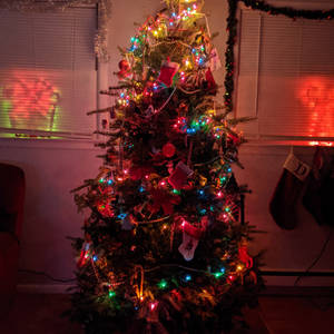 My 2020 Christmas Tree