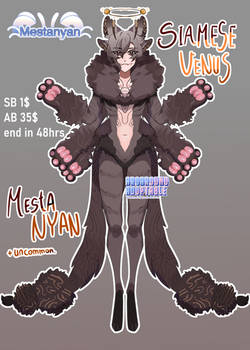 Mestanyan adoptable auction closed
