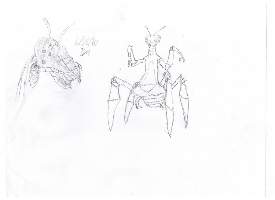 Insectoid Drawing Insectoid A.1 by Corem on DeviantArt