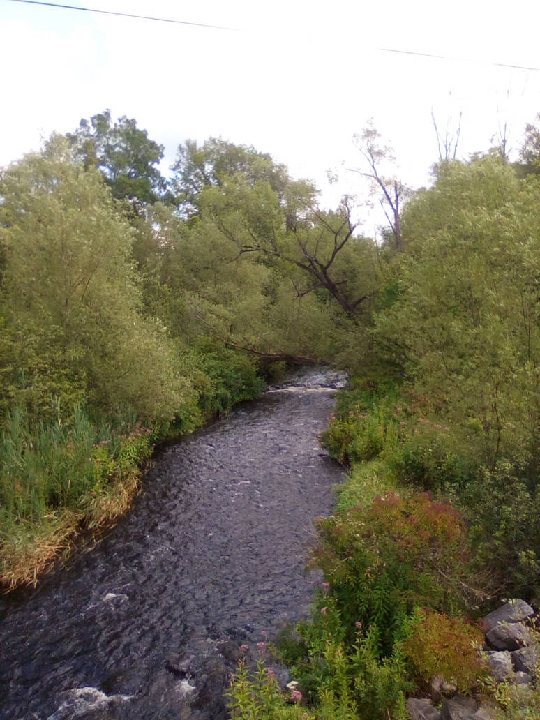 Tree Lined Stream by DarkFlameDragon1 on DeviantArt