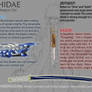 Shidae's Weapon List
