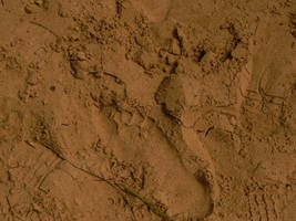 Footprint in sand texture