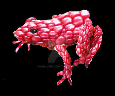 raspberry frog by karlozuz on DeviantArt