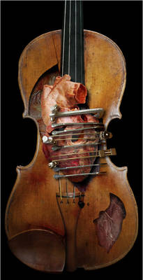 Violin