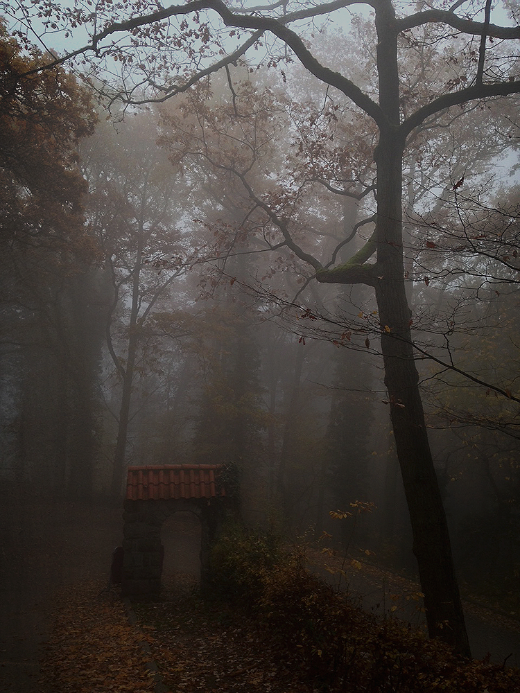 Herbst.Nebel