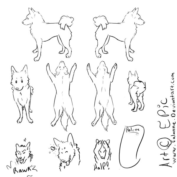 Free canine Ref sheet by falanne on DeviantArt