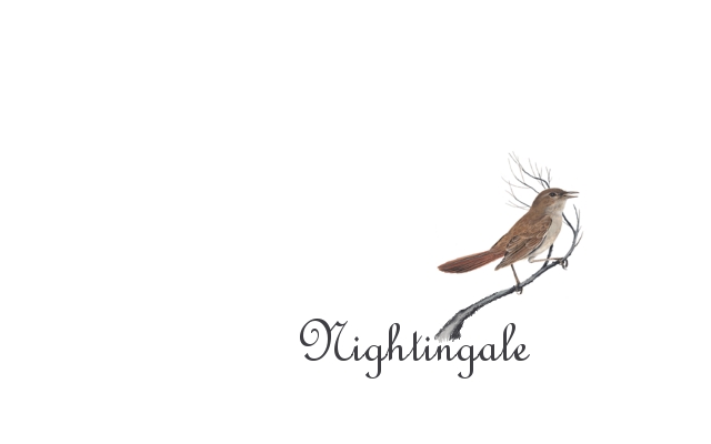 Nightingale Tattoo