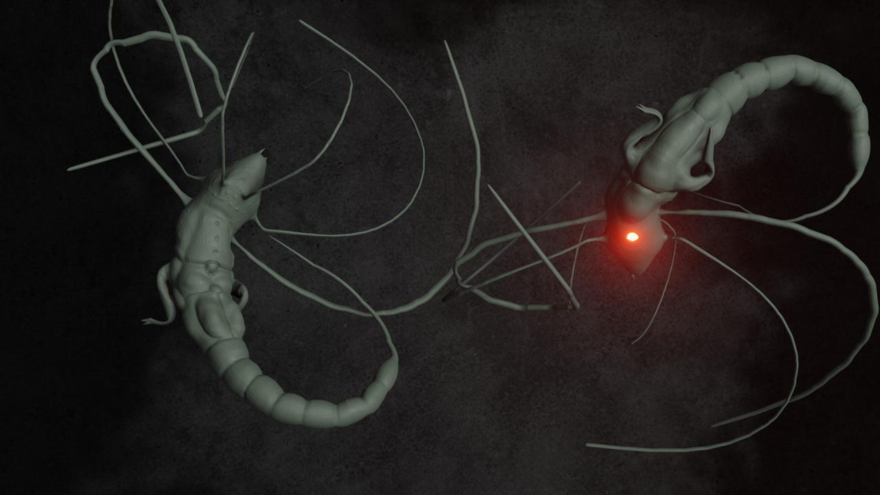 Matrix Bug Redesign Concept by Weren-III on DeviantArt