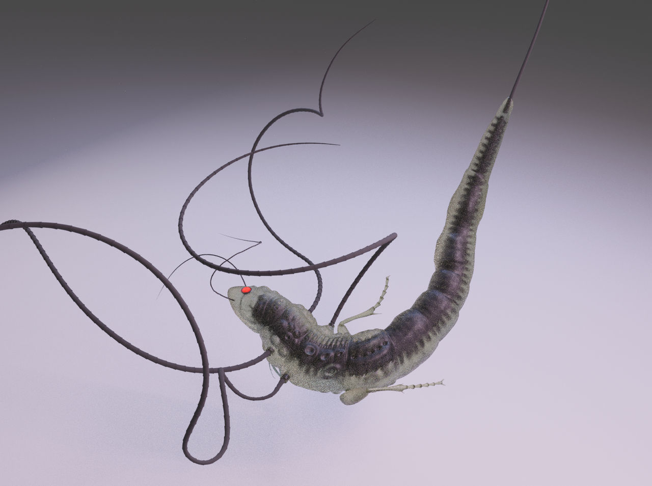 Character Matrix Insect Matrix Bug No. 3 preview by Weren-III on DeviantArt