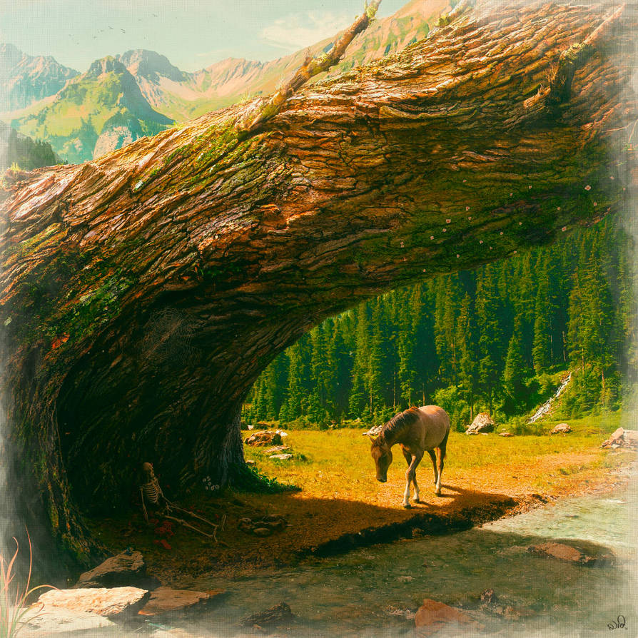 Where Only the Seasons Mark the Paths of Time by theSong