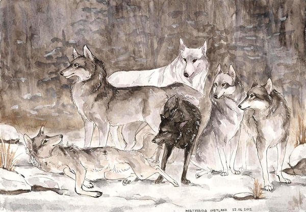 ASOIAF: Direwolves