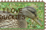 I Love Duckies Stamp