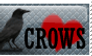 Crows Stamp