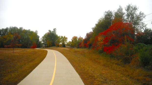 Autumn Road