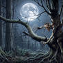 Fear Of The Dark
