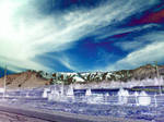 Peyote desert by 4biddendonut