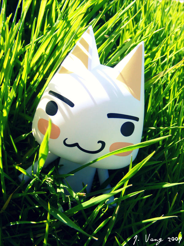 Wild Toro By Usoislove On Deviantart Wild Toro By Usoislove On Deviantart