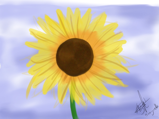 Sunflower