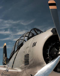 Warbird