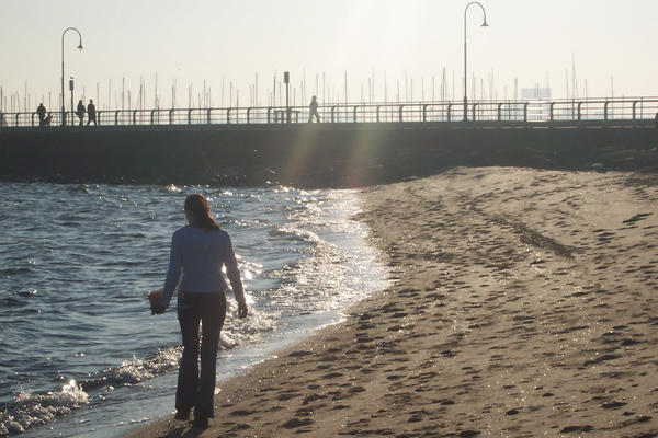 Shells by Ninan-Monster on DeviantArt