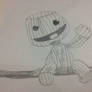 sackboy