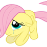 Don't cry Filly Fluttershy