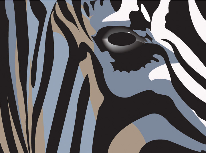 Zebra