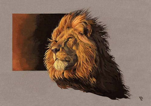 'Lion'