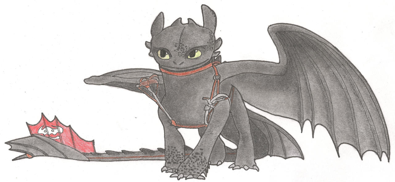 Toothless by Amypteride on DeviantArt