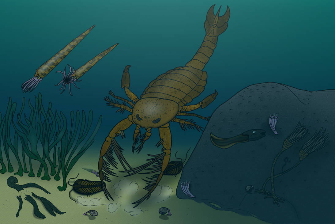 Megalograptus from the Ordovician period by Amypteride on DeviantArt