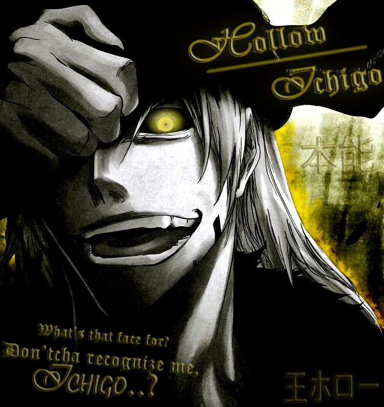 Hollow Ichigo - Long Time No C