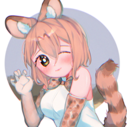 Serval Redraw