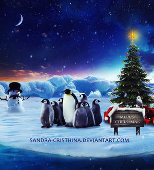 Family Christmas by Sandra-Cristhina Family Christmas by Sandra-Cristhina