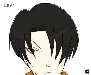 Levi