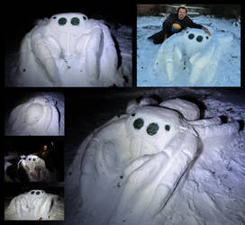 Snow Jumping Spider