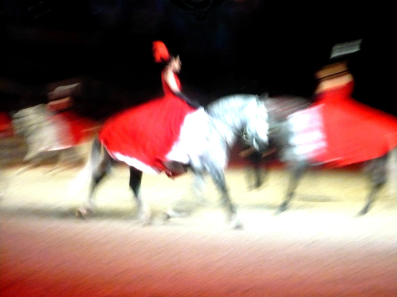 Blurred horse's dance.