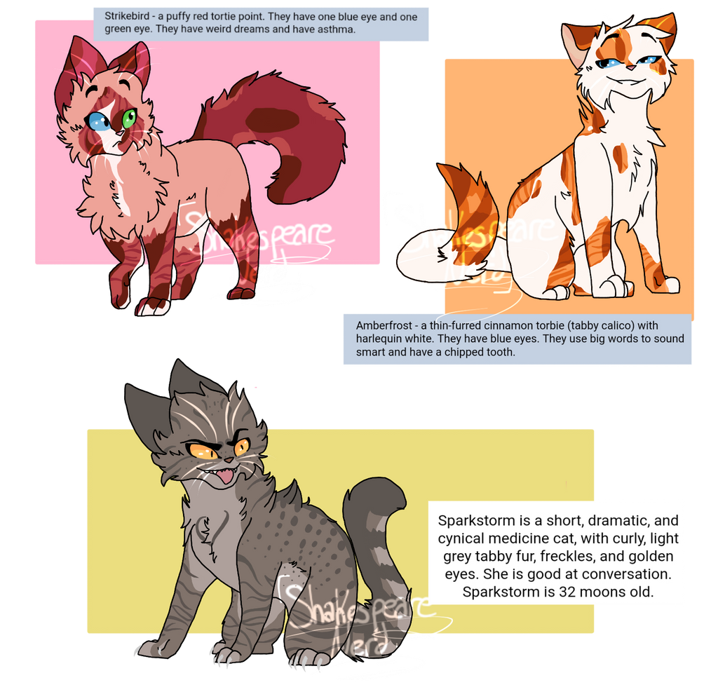 Why Are all these cats Breaking the Warrior code? by Buff-Spud on DeviantArt