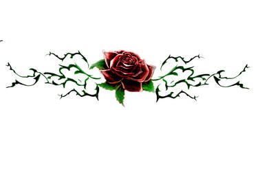 Barbed Roses