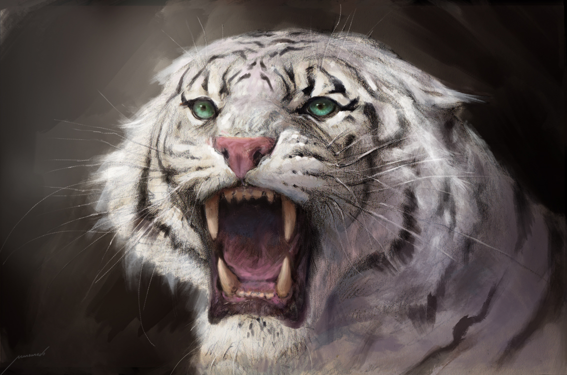 White Tiger by Manzanedo on DeviantArt