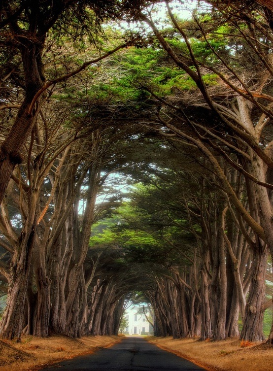 The Tunnelways (Somewhere in Helena)