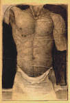 Nude man's torso. by sipsis