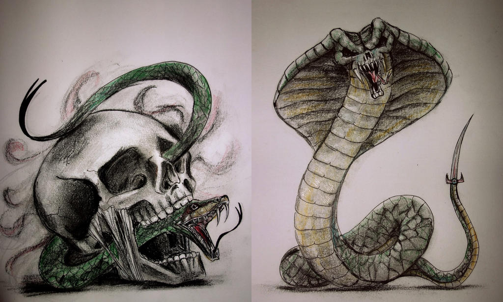 Тест на змей. Рисунки змей. Череп со змеей. Рисунки страшных змей. Тату змея страшная.