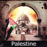 palestine 2013