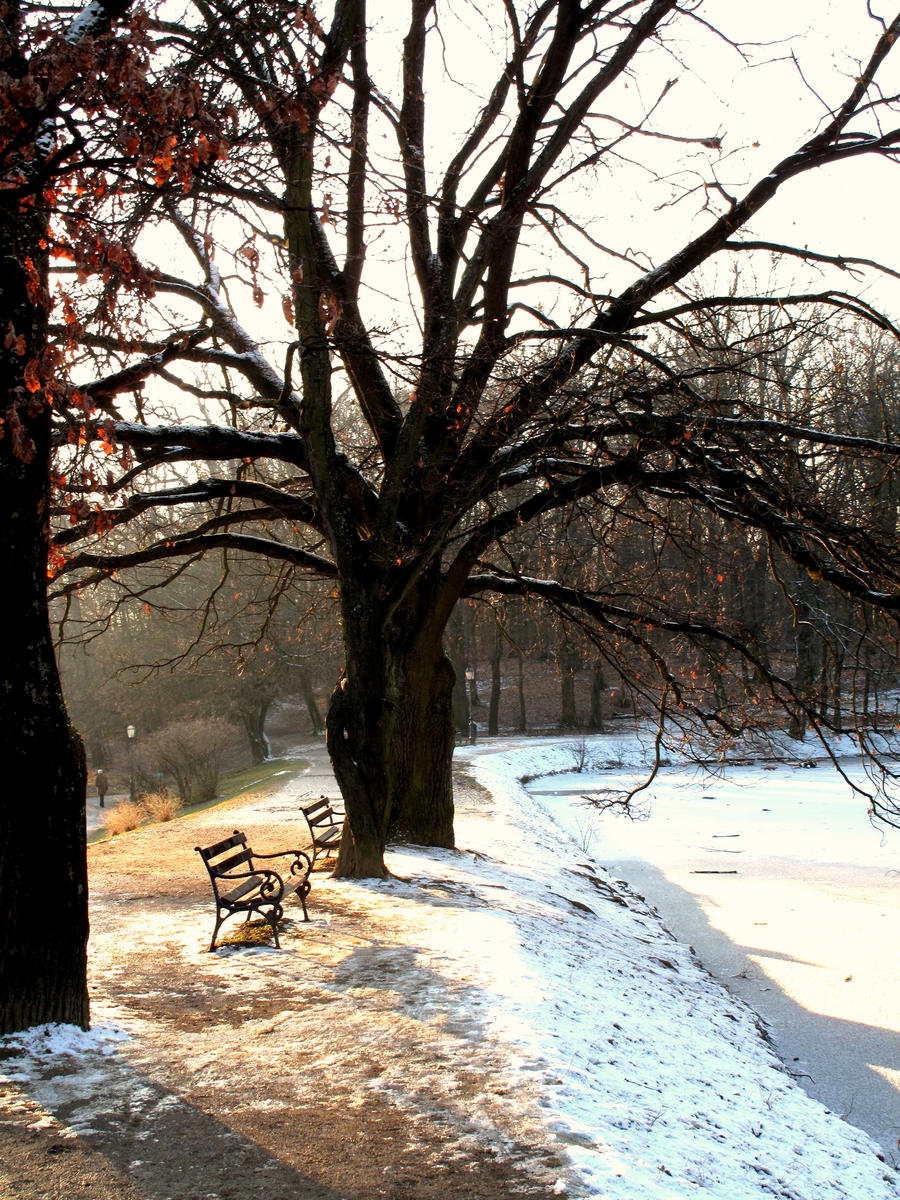 sunny winter day