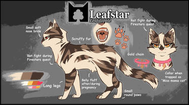 Leafstar (Leafdapple)