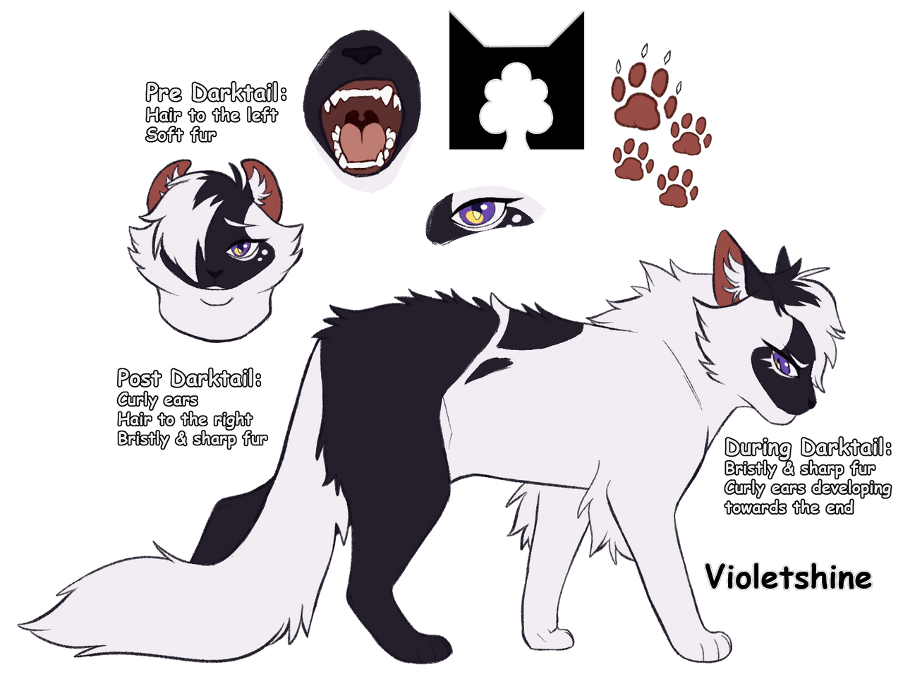 Violetkit Violetshine by Kiwi-the-Kitty on DeviantArt