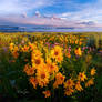 Grand Teton Sunrise