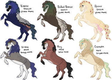 Peafowl Friesian Starter Adopts