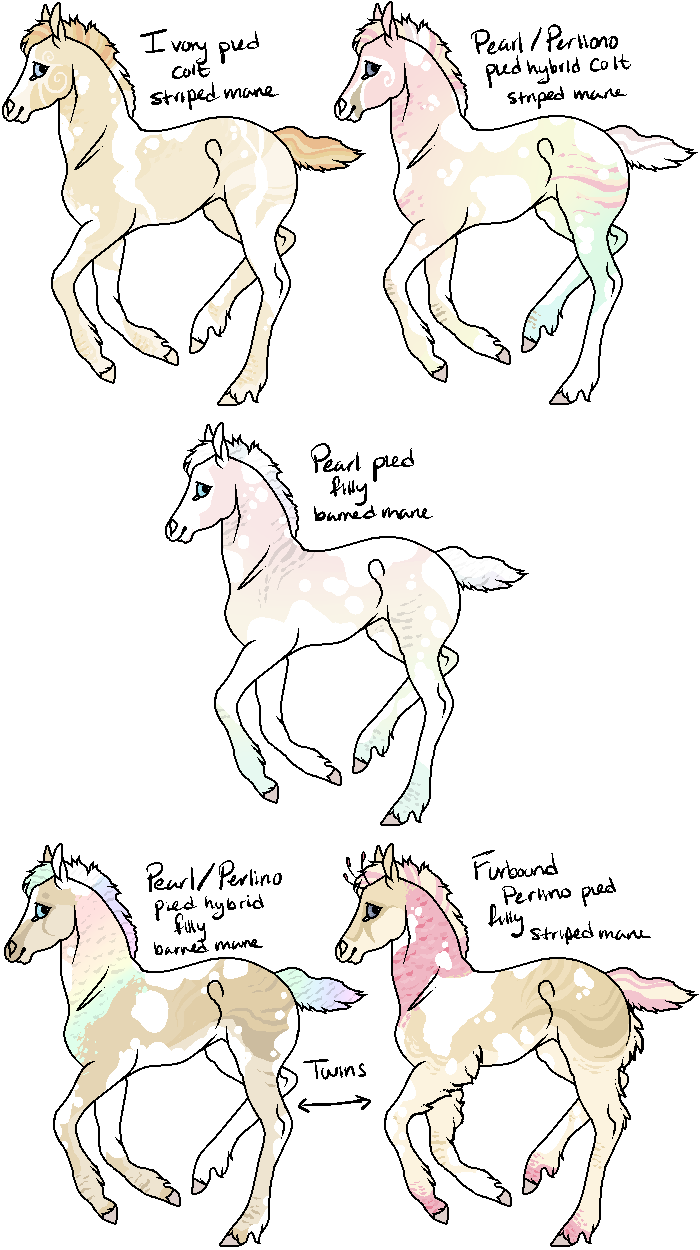 Pearl x Perlino Foals