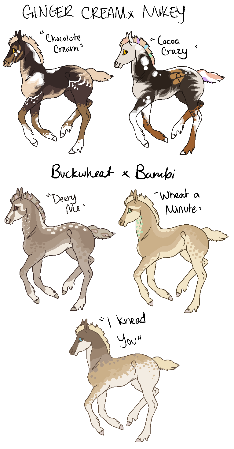 Extravaganza Foal Set 8